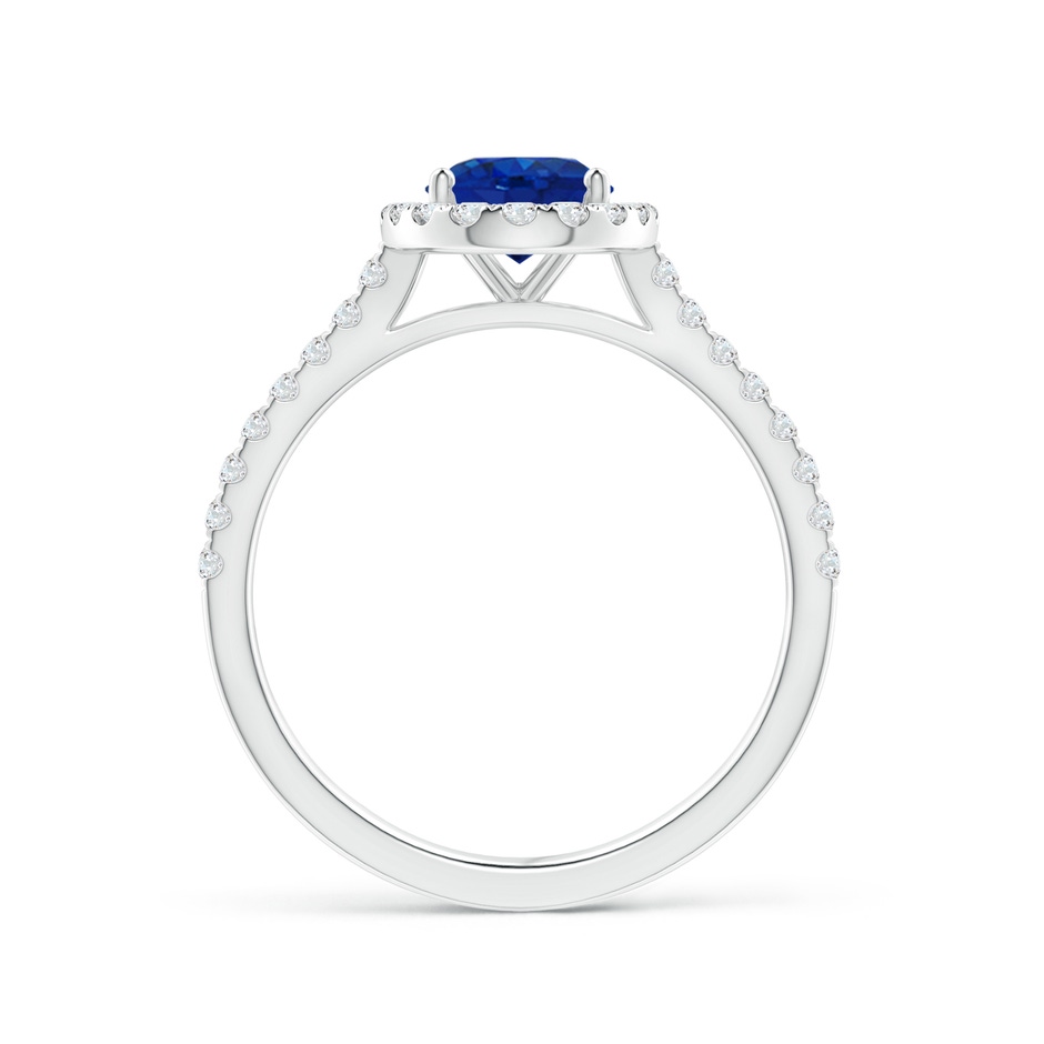 8x6mm AAA Oval Sapphire Halo Ring with Diamond Accents in P950 Platinum side 199