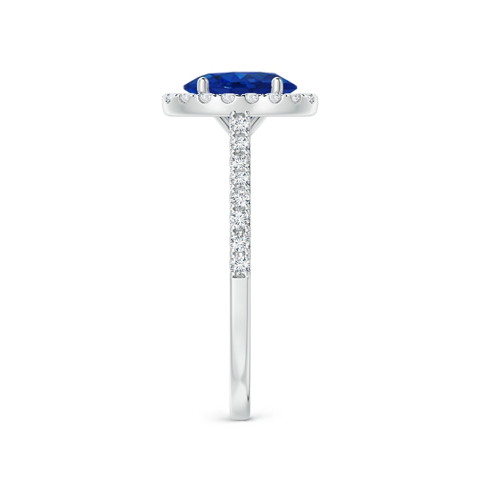 8x6mm AAA Oval Sapphire Halo Ring with Diamond Accents in P950 Platinum side 299