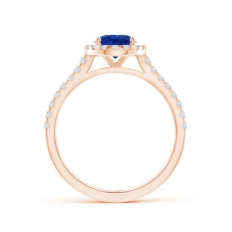8x6mm AAA Oval Sapphire Halo Ring with Diamond Accents in Rose Gold side 199
