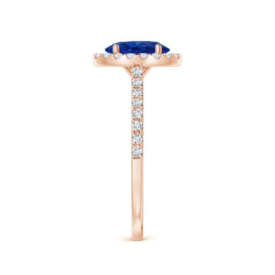 8x6mm AAA Oval Sapphire Halo Ring with Diamond Accents in Rose Gold side 299