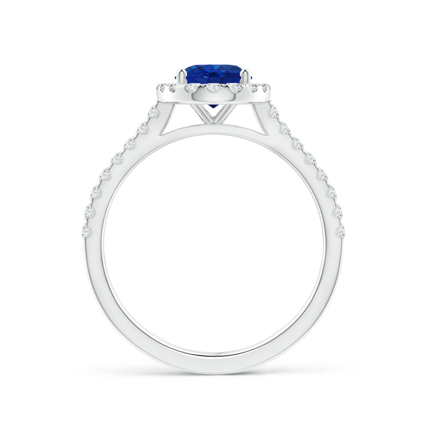 8x6mm AAA Oval Sapphire Halo Ring with Diamond Accents in White Gold - side 3