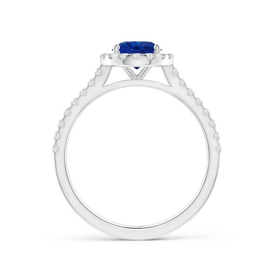 8x6mm AAA Oval Sapphire Halo Ring with Diamond Accents in White Gold side 199