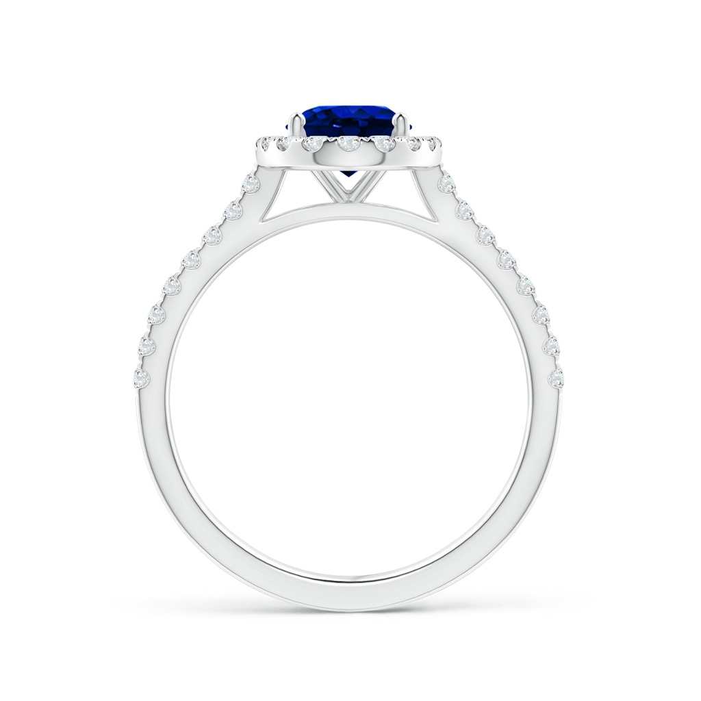8x6mm AAAA Oval Sapphire Halo Ring with Diamond Accents in P950 Platinum Side 199