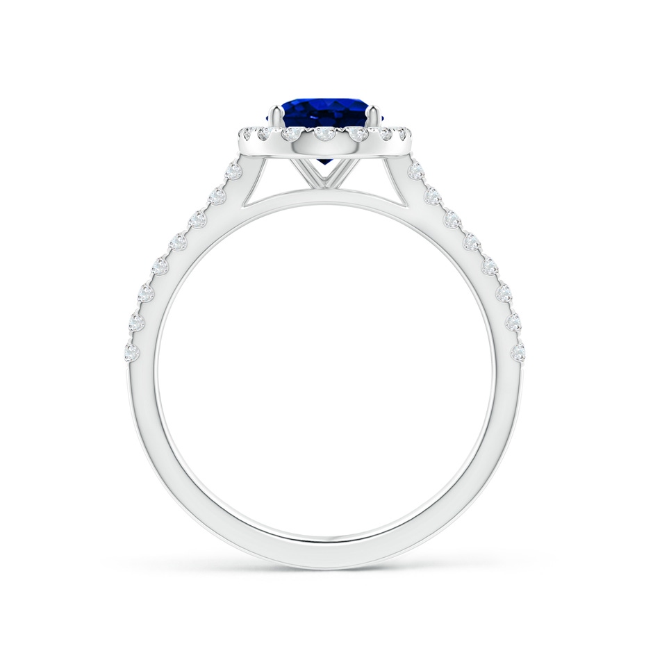8x6mm AAAA Oval Sapphire Halo Ring with Diamond Accents in P950 Platinum side 199