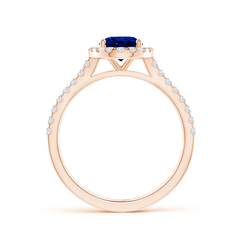 8x6mm AAAA Oval Sapphire Halo Ring with Diamond Accents in Rose Gold side 199