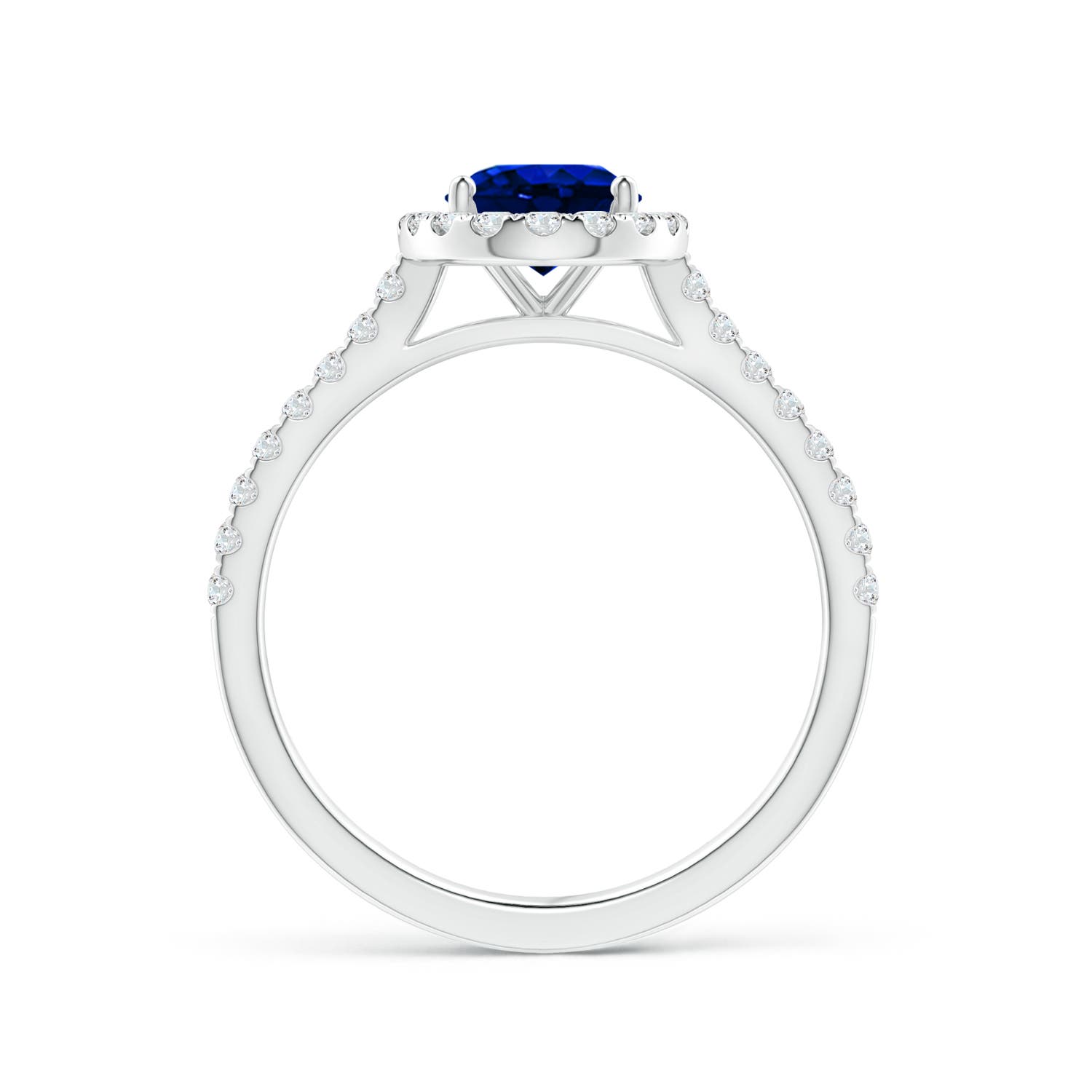 8x6mm AAAA Oval Sapphire Halo Ring with Diamond Accents in White Gold - side 4
