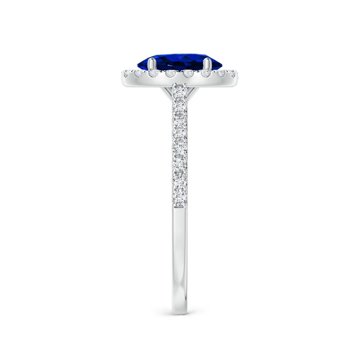 8x6mm AAAA Oval Sapphire Halo Ring with Diamond Accents in White Gold - side 6