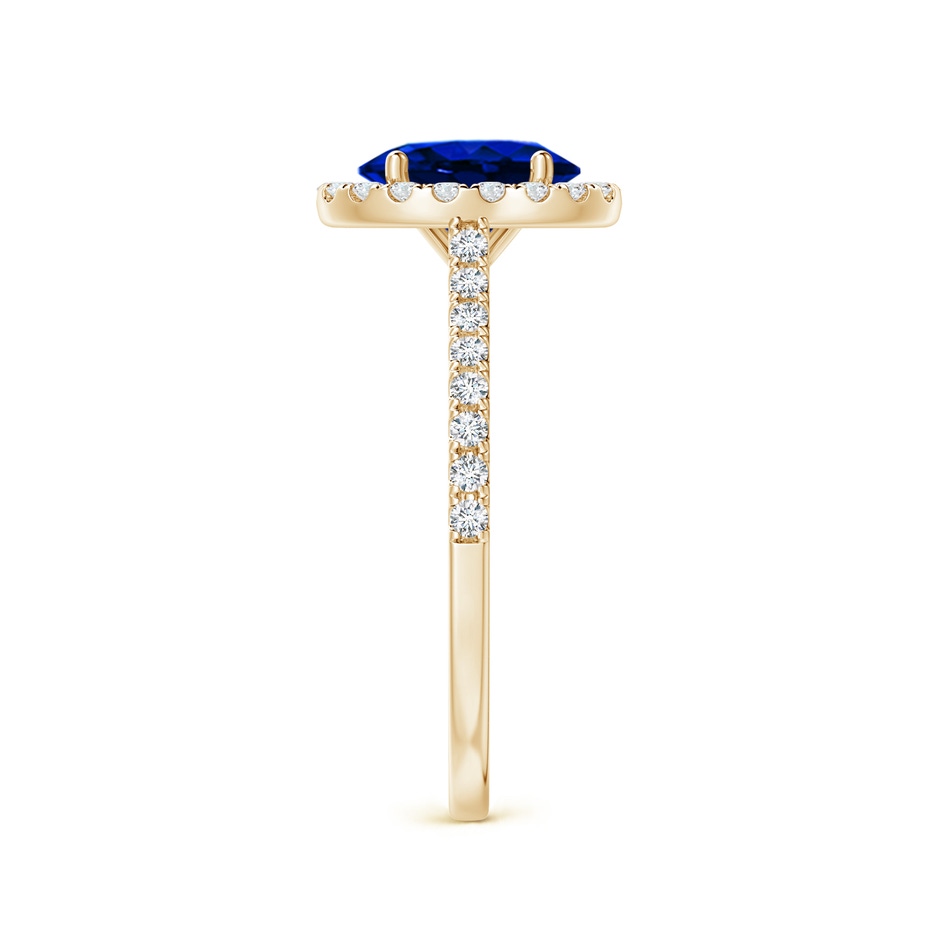 8x6mm AAAA Oval Sapphire Halo Ring with Diamond Accents in Yellow Gold side 299