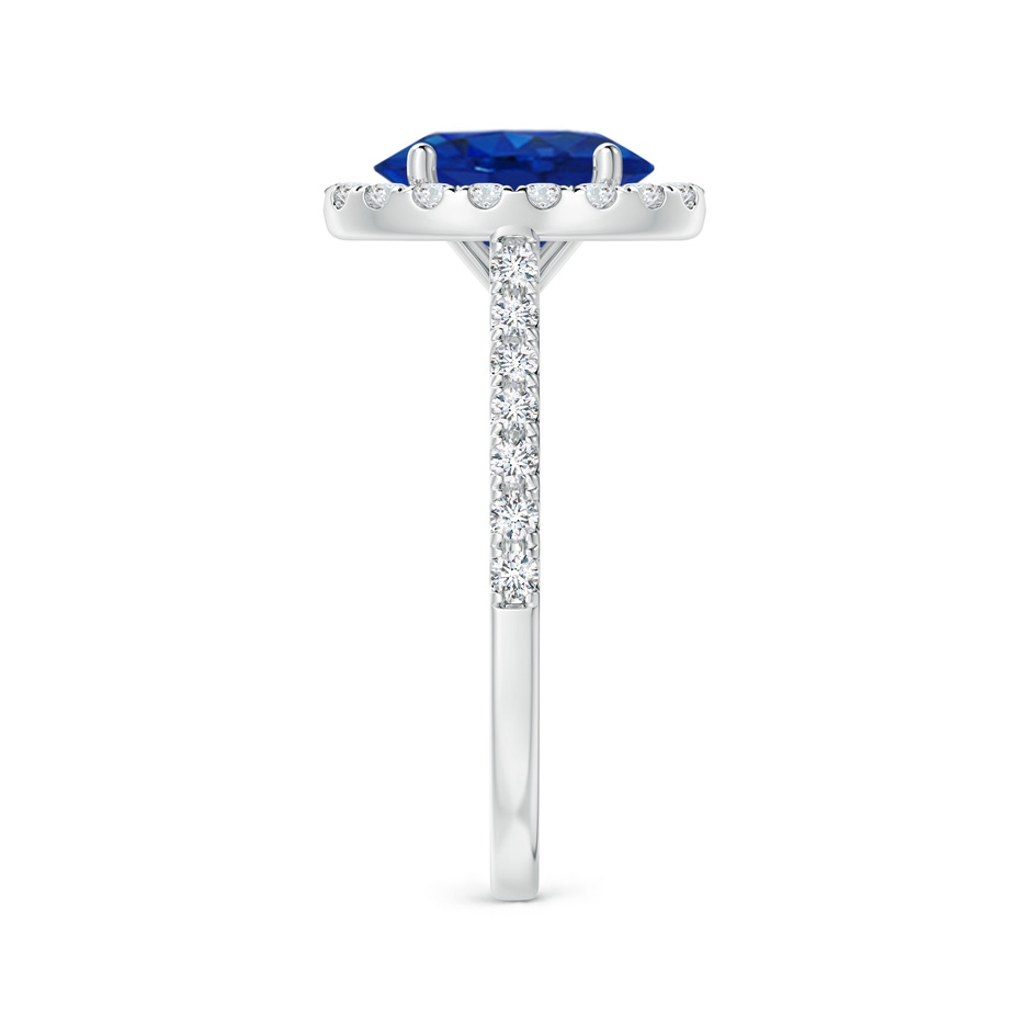 9x7mm AAA Oval Sapphire Halo Ring with Diamond Accents in P950 Platinum side 299