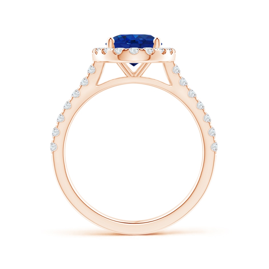 9x7mm AAA Oval Sapphire Halo Ring with Diamond Accents in Rose Gold side 199