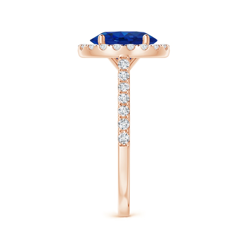 9x7mm AAA Oval Sapphire Halo Ring with Diamond Accents in Rose Gold side 299