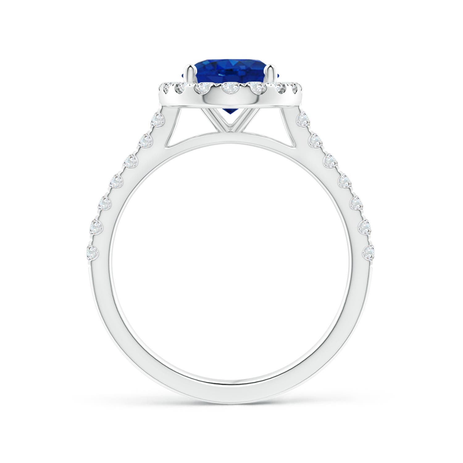 9x7mm AAA Oval Sapphire Halo Ring with Diamond Accents in White Gold - side 3