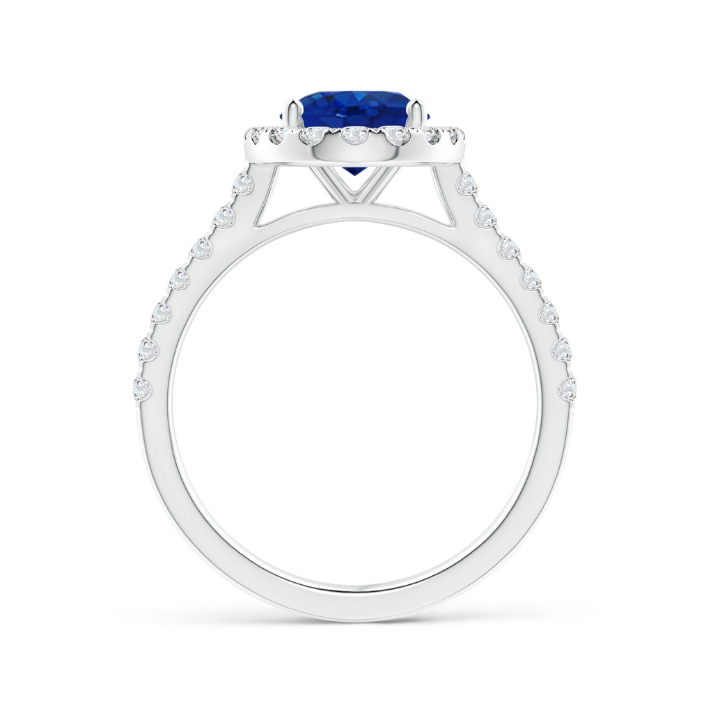 9x7mm AAA Oval Sapphire Halo Ring with Diamond Accents in White Gold Side 199