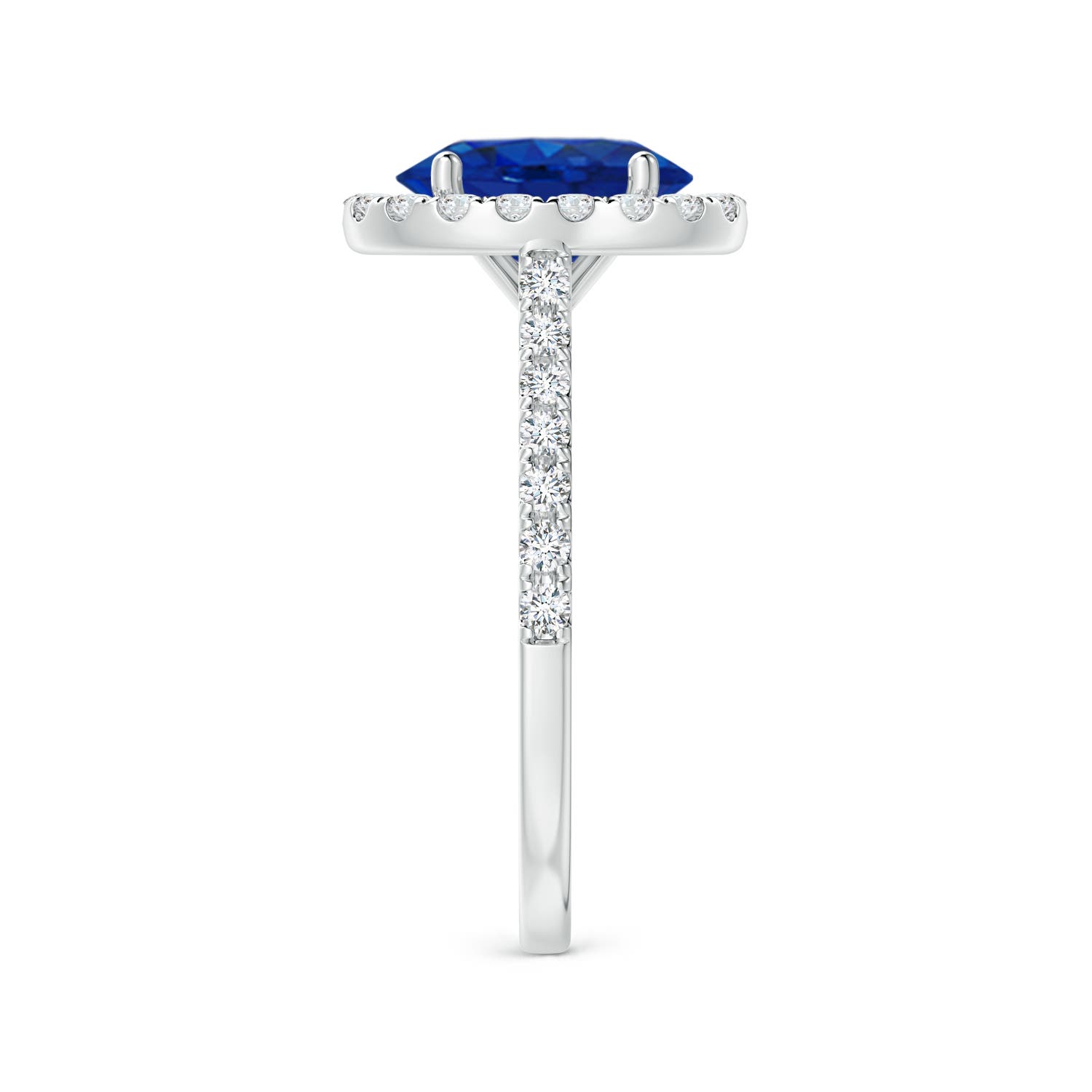 9x7mm AAA Oval Sapphire Halo Ring with Diamond Accents in White Gold - side 5