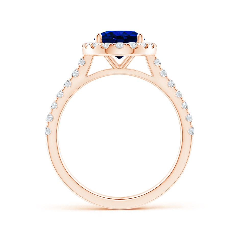 9x7mm AAAA Oval Sapphire Halo Ring with Diamond Accents in Rose Gold side 199