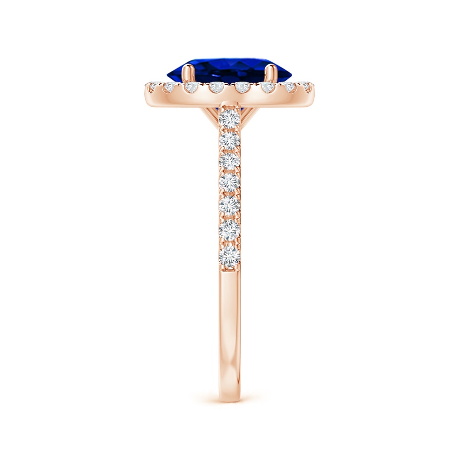 9x7mm AAAA Oval Sapphire Halo Ring with Diamond Accents in Rose Gold side 299