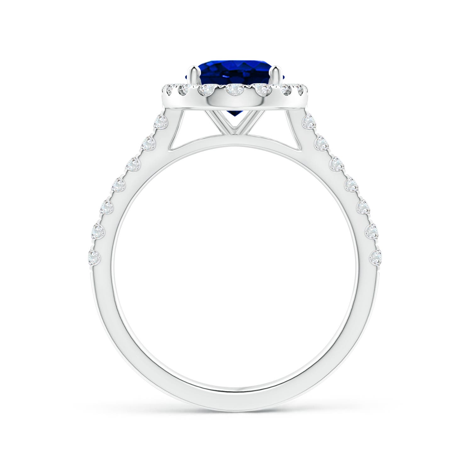 9x7mm AAAA Oval Sapphire Halo Ring with Diamond Accents in White Gold - side 3