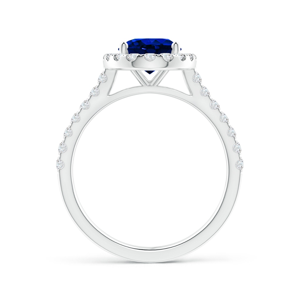 9x7mm AAAA Oval Sapphire Halo Ring with Diamond Accents in White Gold Side 199