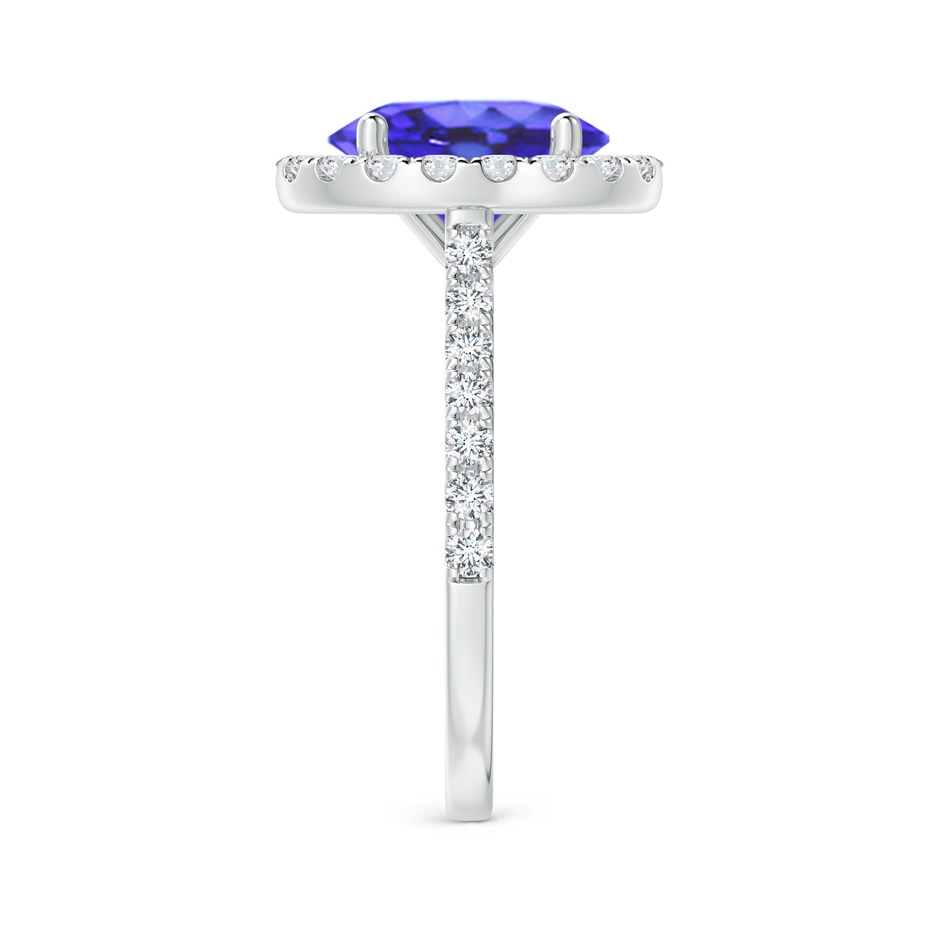 10x8mm AA Oval Tanzanite Halo Ring with Diamond Accents in P950 Platinum side-2