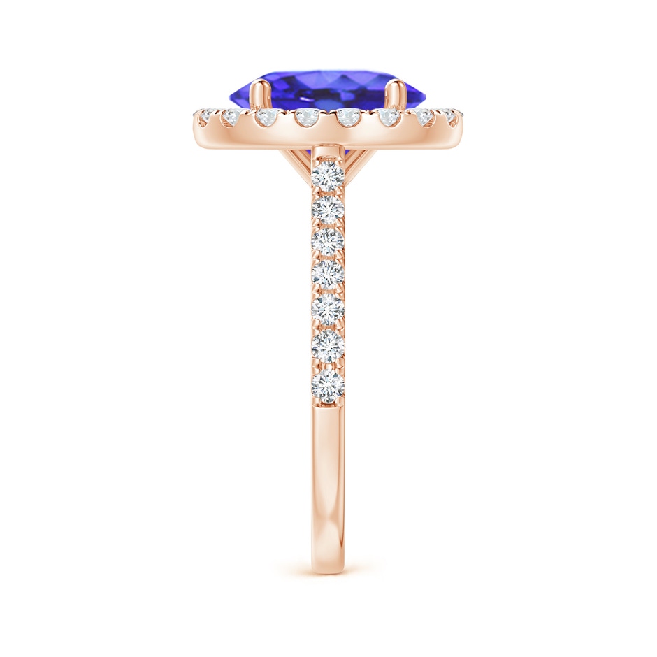 10x8mm AA Oval Tanzanite Halo Ring with Diamond Accents in Rose Gold side-2