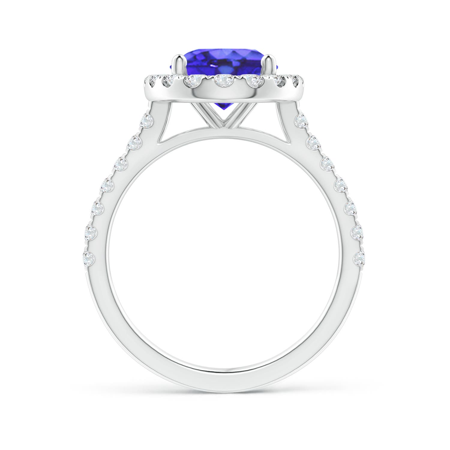 AA - Tanzanite / 3.57 CT / 14 KT White Gold