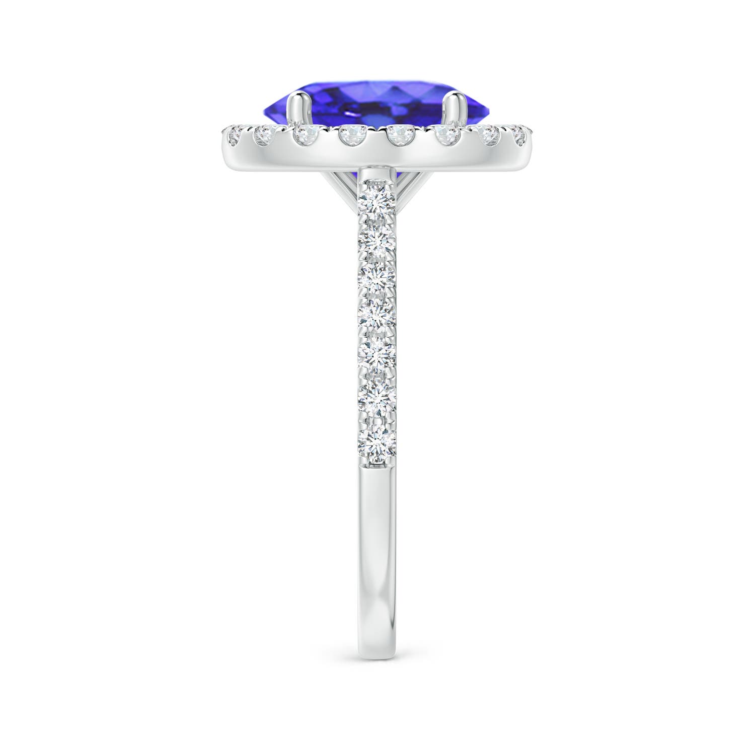 AA - Tanzanite / 3.57 CT / 14 KT White Gold