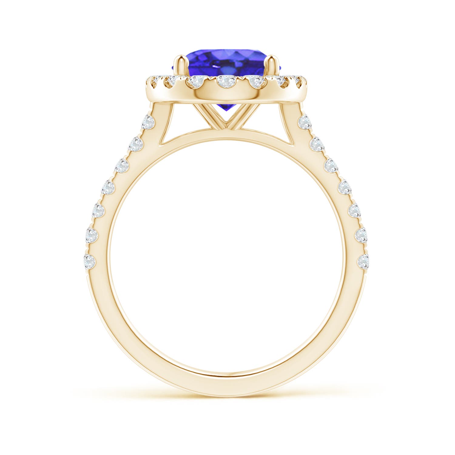 AA - Tanzanite / 3.57 CT / 14 KT Yellow Gold