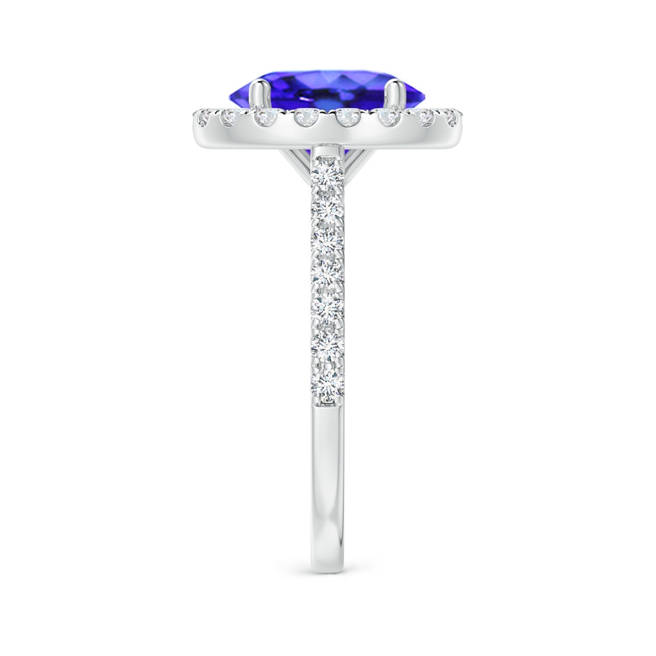 10x8mm AAA Oval Tanzanite Halo Ring with Diamond Accents in P950 Platinum side-2
