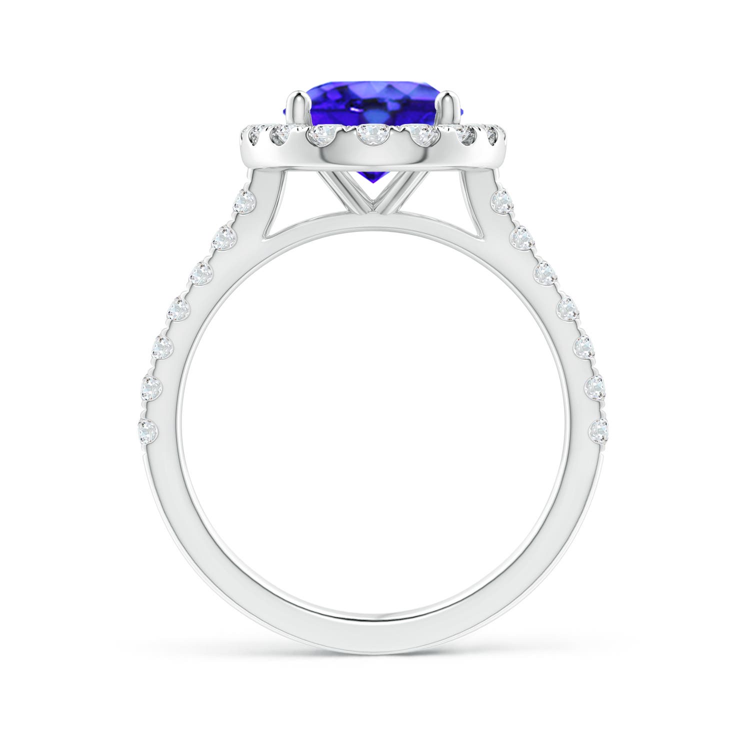 AAA - Tanzanite / 3.57 CT / 14 KT White Gold