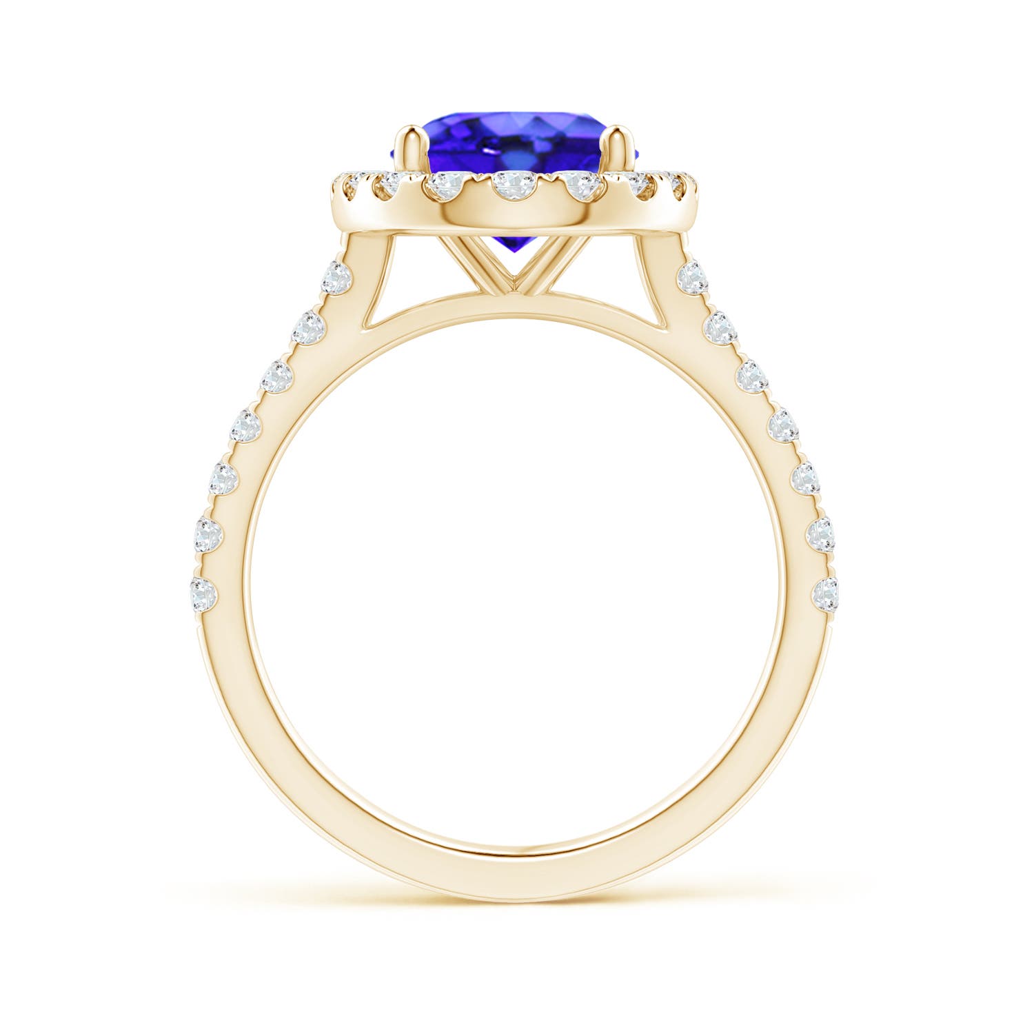 AAA - Tanzanite / 3.57 CT / 14 KT Yellow Gold