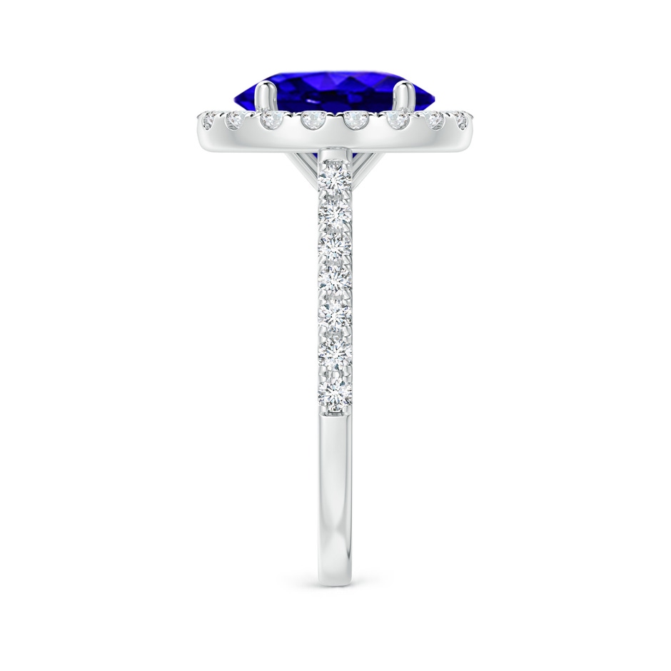 10x8mm AAAA Oval Tanzanite Halo Ring with Diamond Accents in P950 Platinum side-2