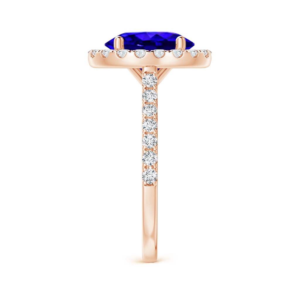 10x8mm AAAA Oval Tanzanite Halo Ring with Diamond Accents in Rose Gold Side-2