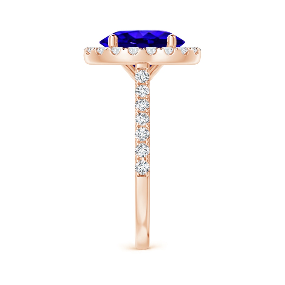 10x8mm AAAA Oval Tanzanite Halo Ring with Diamond Accents in Rose Gold side-2