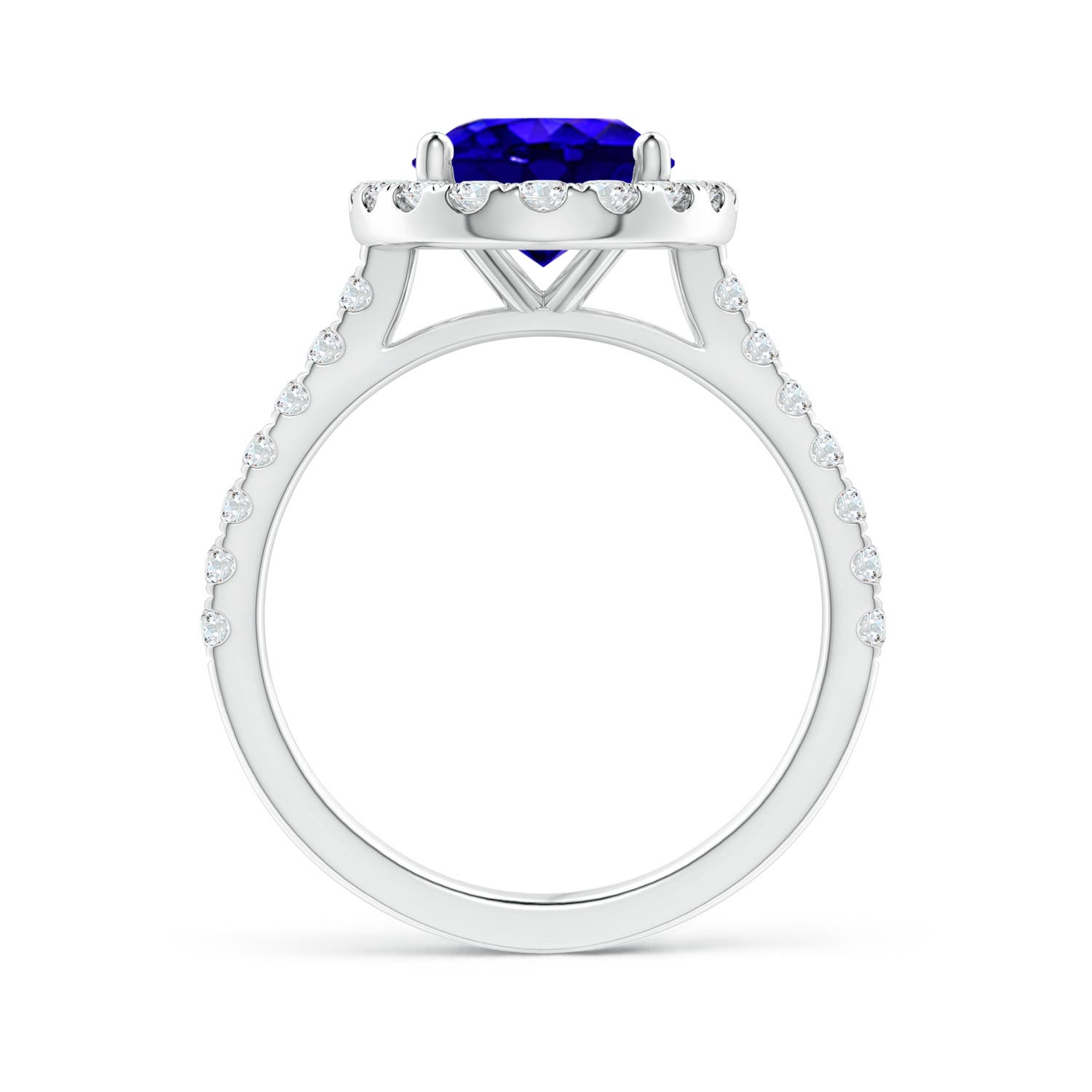 AAAA - Tanzanite / 3.57 CT / 14 KT White Gold