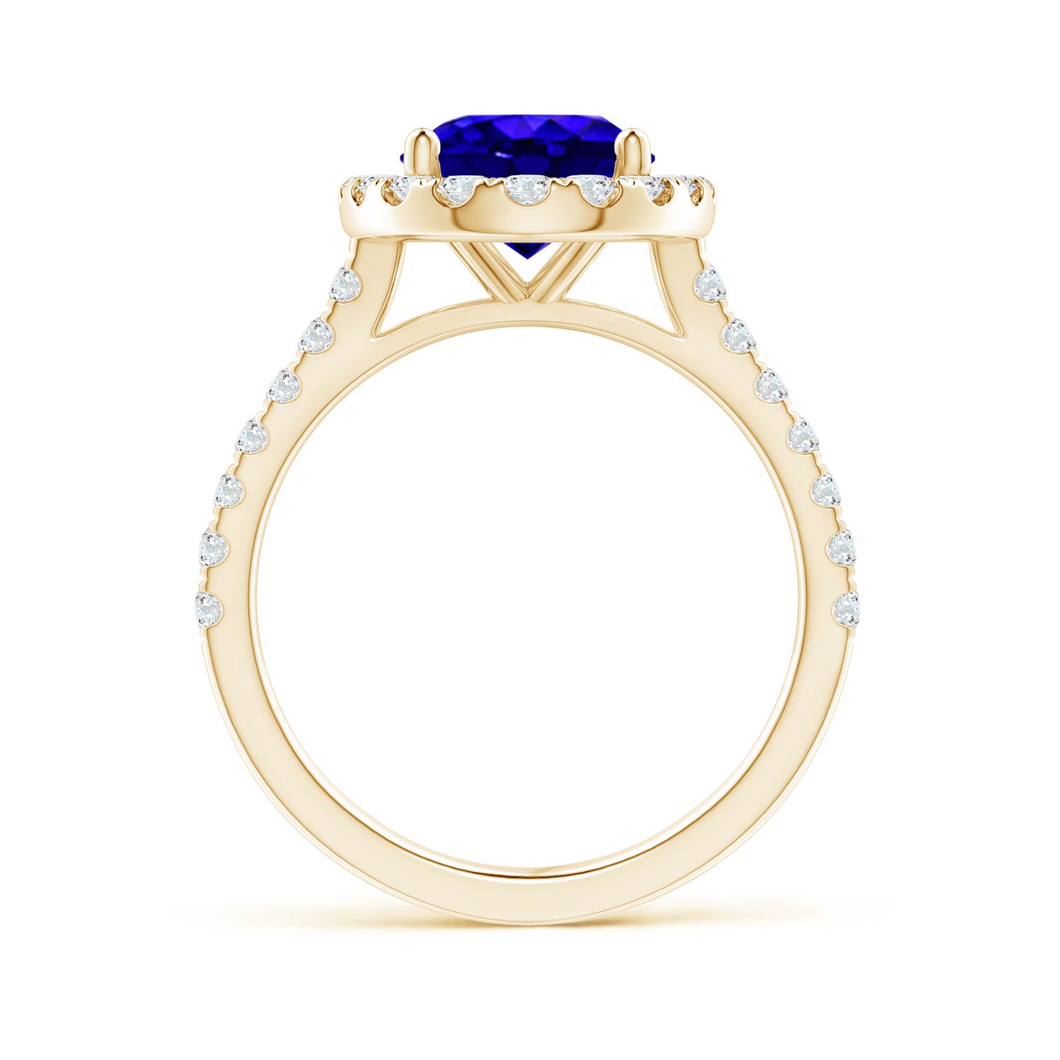 AAAA - Tanzanite / 3.57 CT / 14 KT Yellow Gold