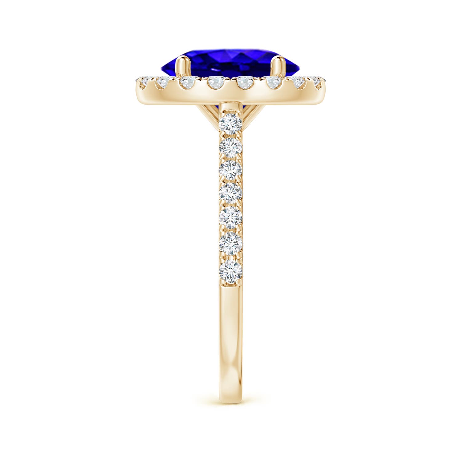 AAAA - Tanzanite / 3.57 CT / 14 KT Yellow Gold