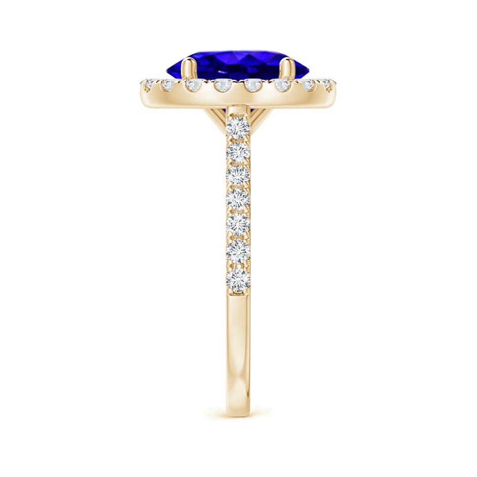 10x8mm AAAA Oval Tanzanite Halo Ring with Diamond Accents in Yellow Gold side-2