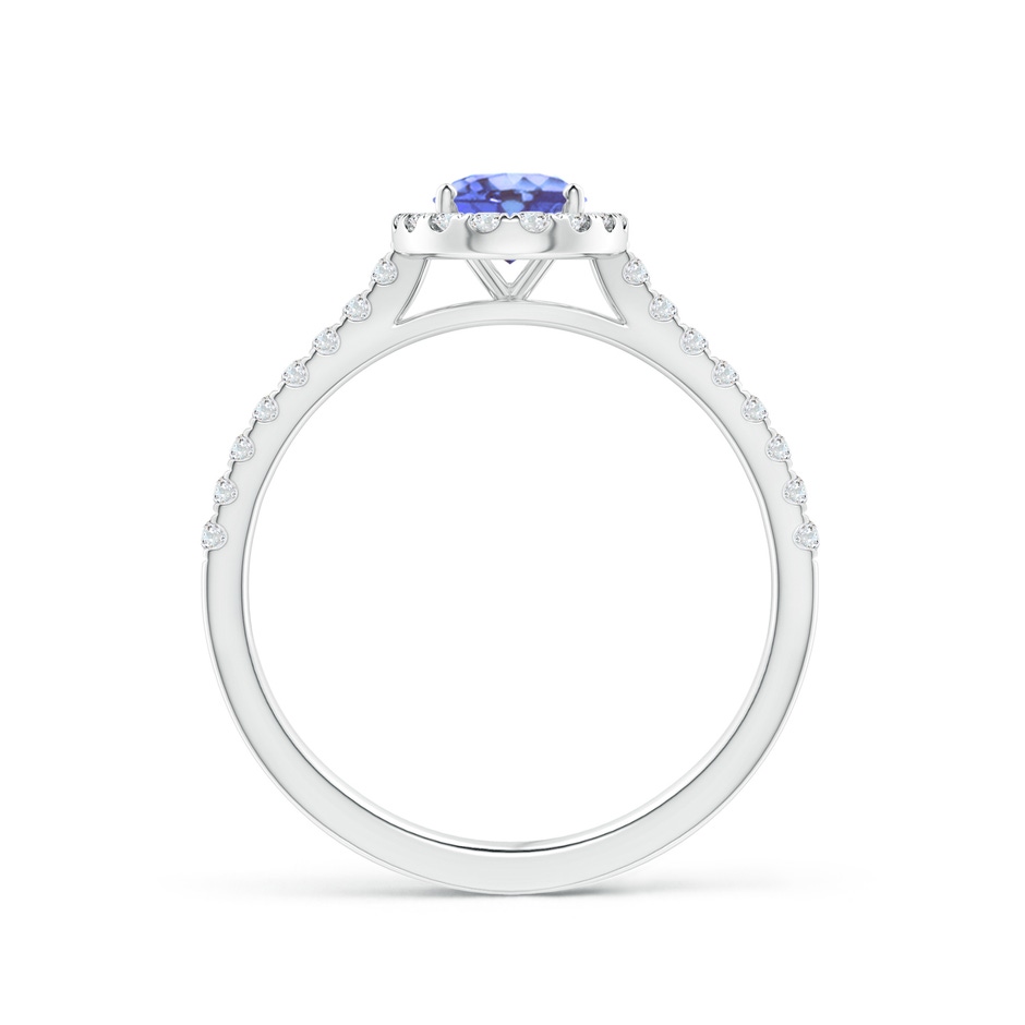 7x5mm A Oval Tanzanite Halo Ring with Diamond Accents in P950 Platinum side-1