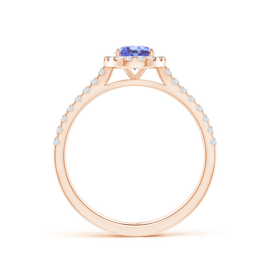 7x5mm A Oval Tanzanite Halo Ring with Diamond Accents in Rose Gold side-1