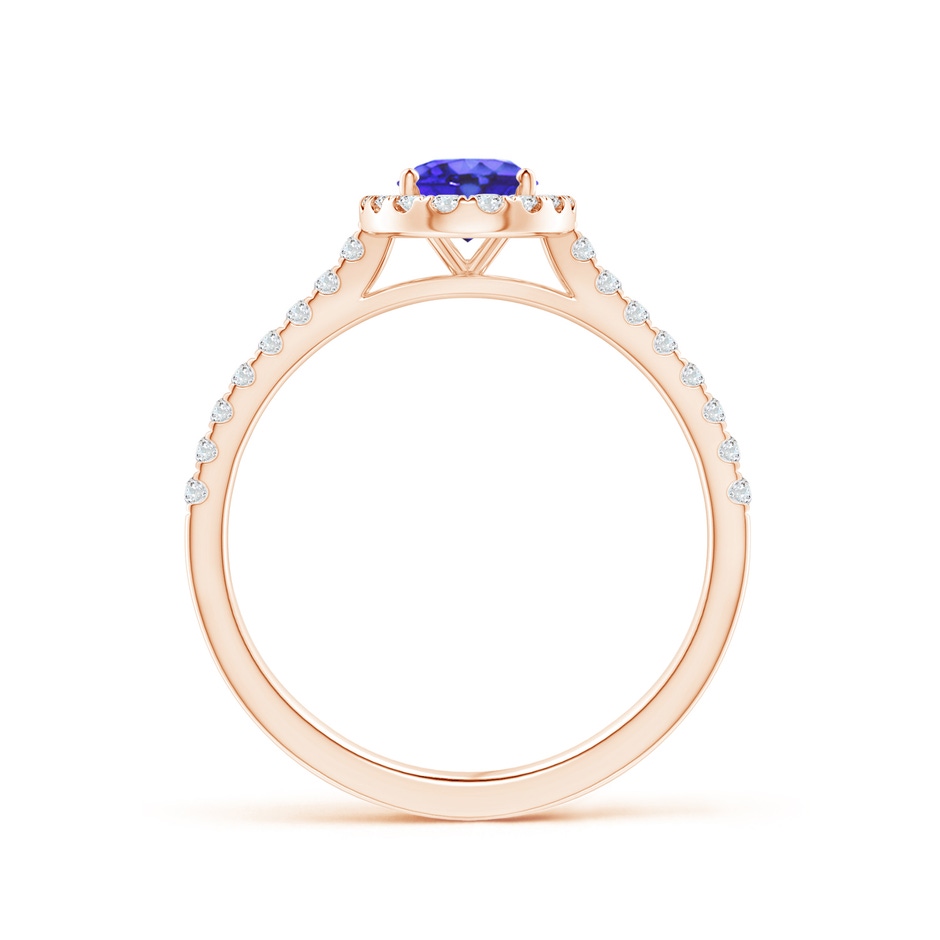 7x5mm AA Oval Tanzanite Halo Ring with Diamond Accents in Rose Gold side-1