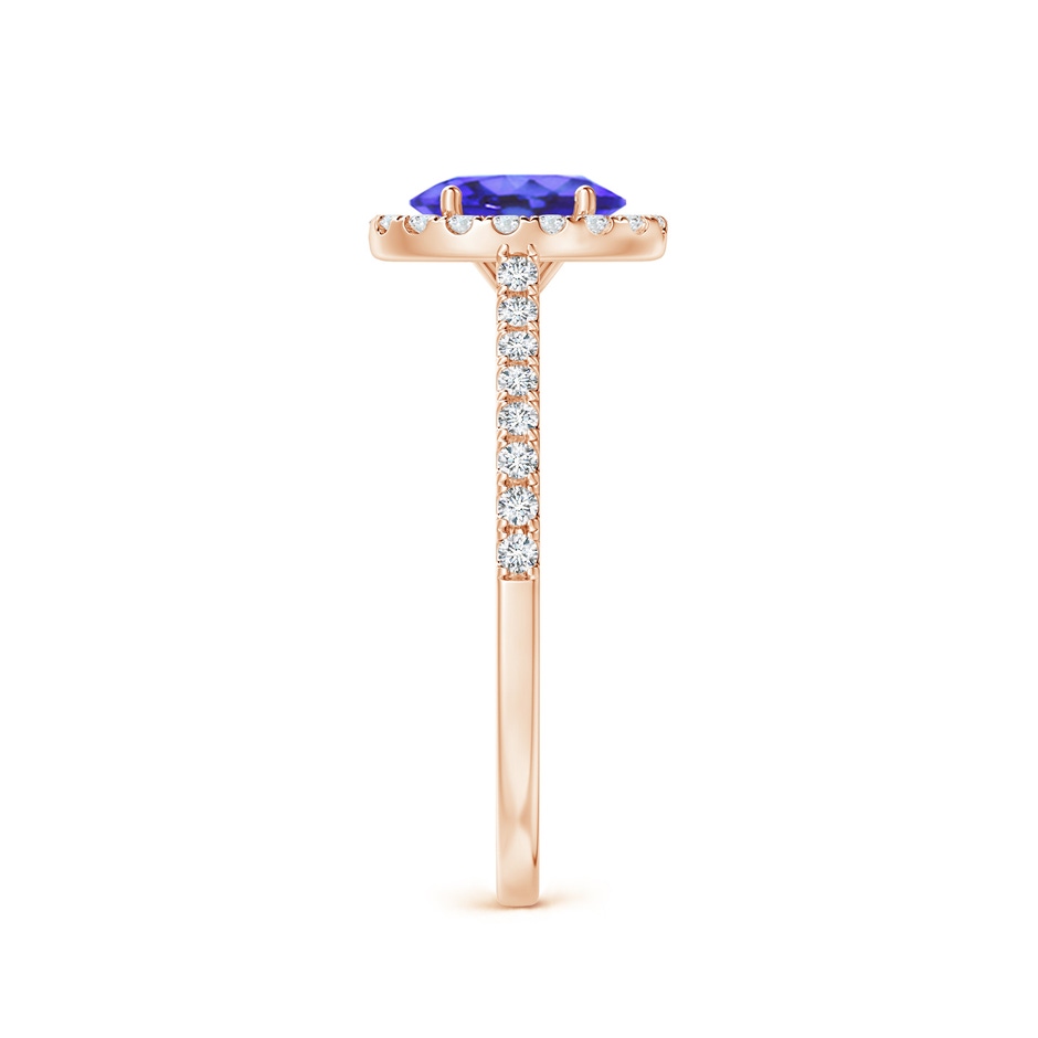 7x5mm AA Oval Tanzanite Halo Ring with Diamond Accents in Rose Gold side-2