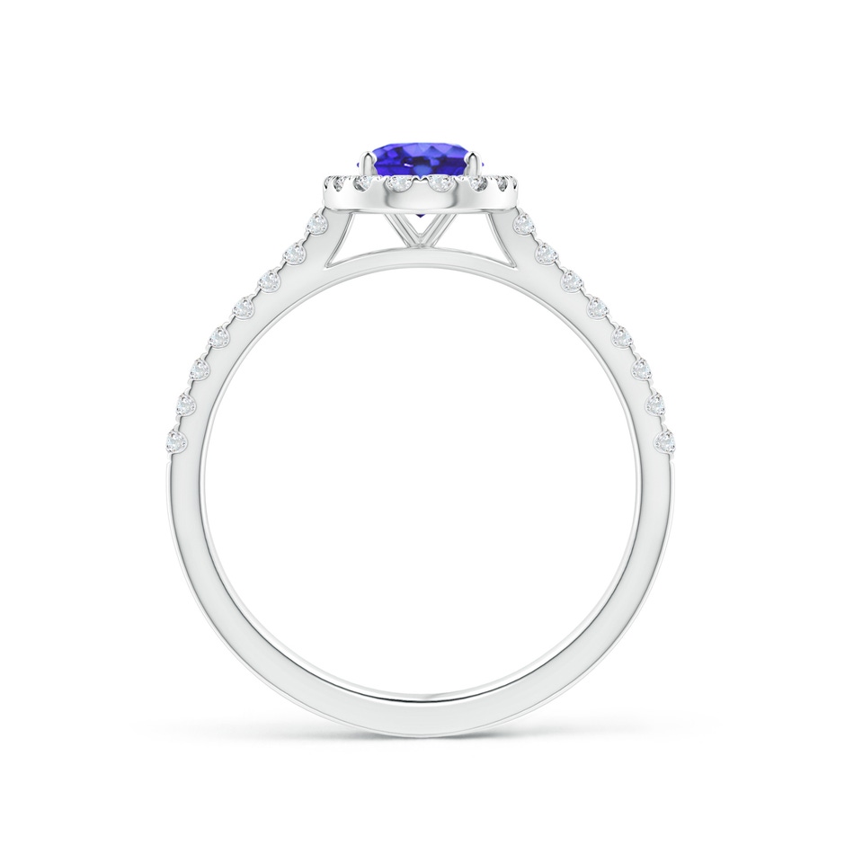 7x5mm AA Oval Tanzanite Halo Ring with Diamond Accents in White Gold side-1