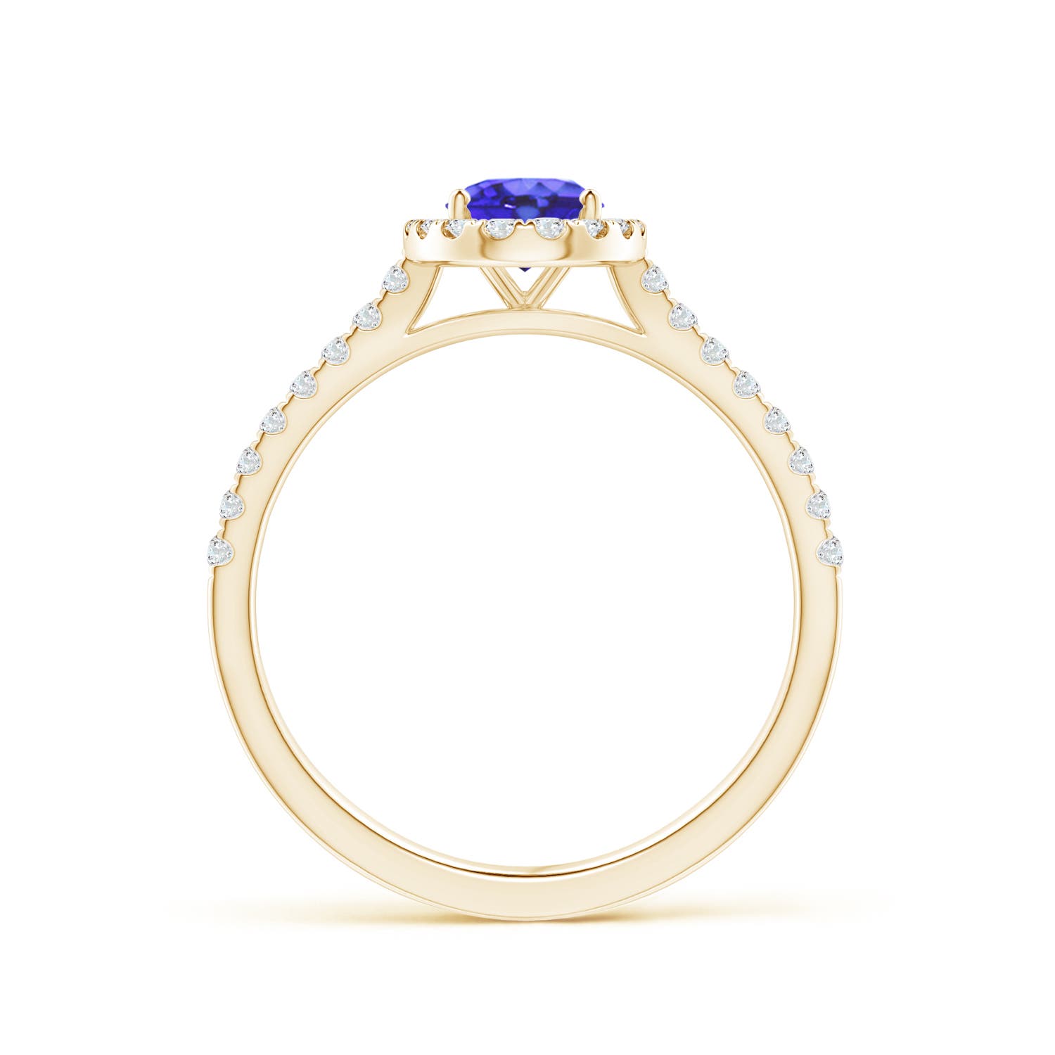 AA - Tanzanite / 1.06 CT / 14 KT Yellow Gold