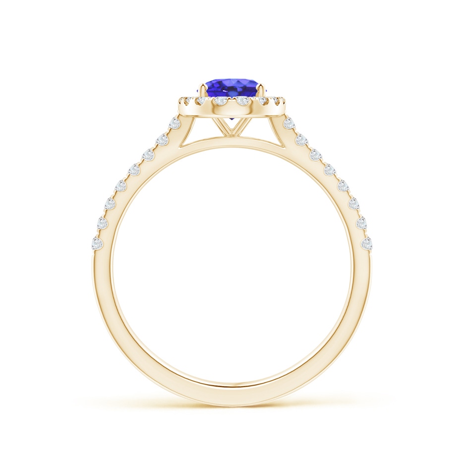 7x5mm AA Oval Tanzanite Halo Ring with Diamond Accents in Yellow Gold side-1