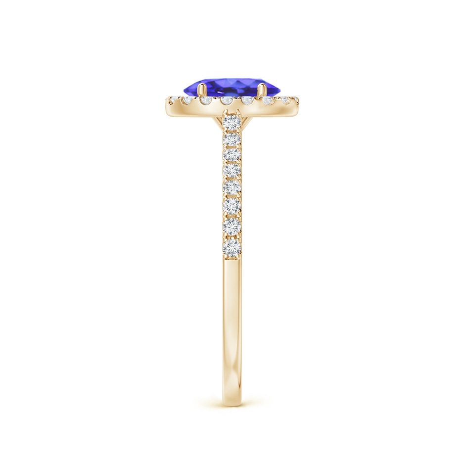 7x5mm AA Oval Tanzanite Halo Ring with Diamond Accents in Yellow Gold side-2