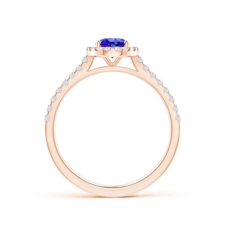 7x5mm AAA Oval Tanzanite Halo Ring with Diamond Accents in Rose Gold side-1