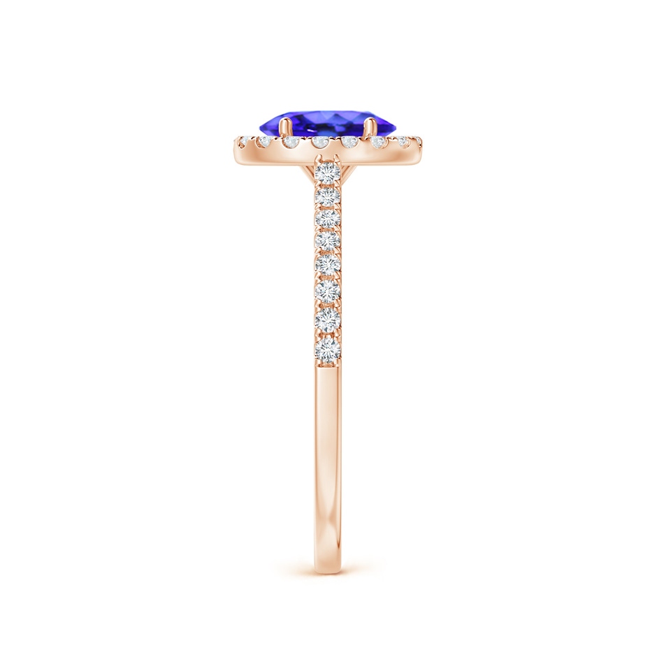 7x5mm AAA Oval Tanzanite Halo Ring with Diamond Accents in Rose Gold side-2