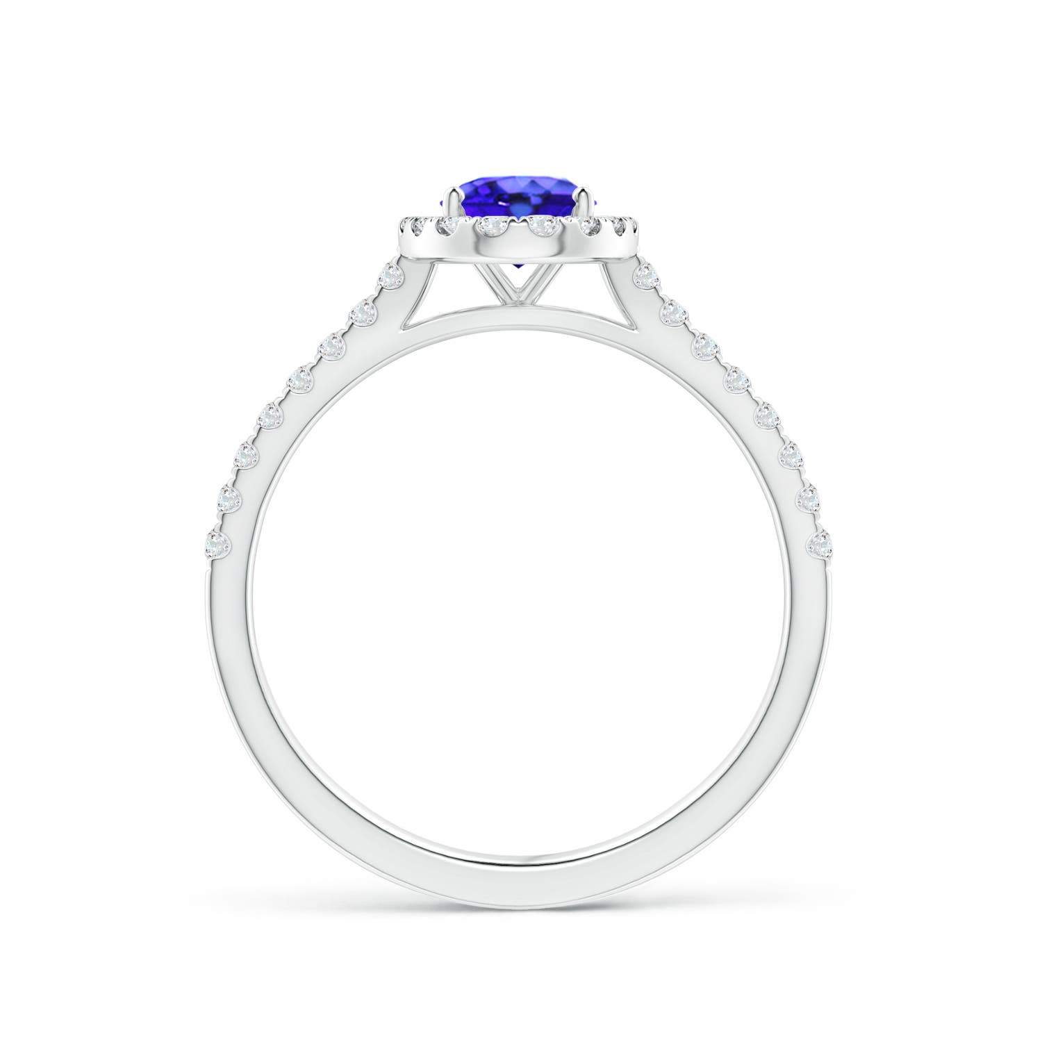 AAA - Tanzanite / 1.06 CT / 14 KT White Gold