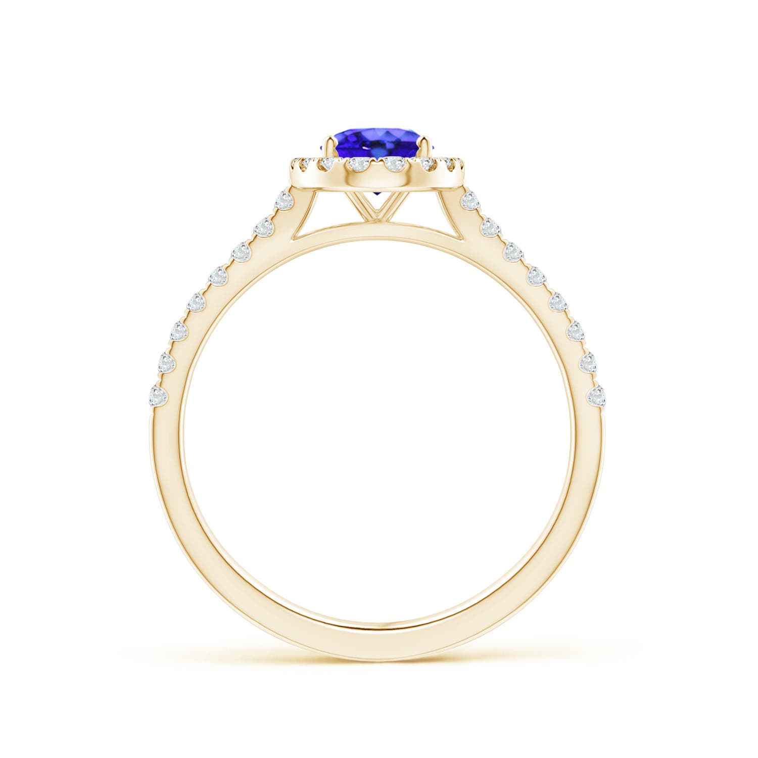 AAA - Tanzanite / 1.06 CT / 14 KT Yellow Gold