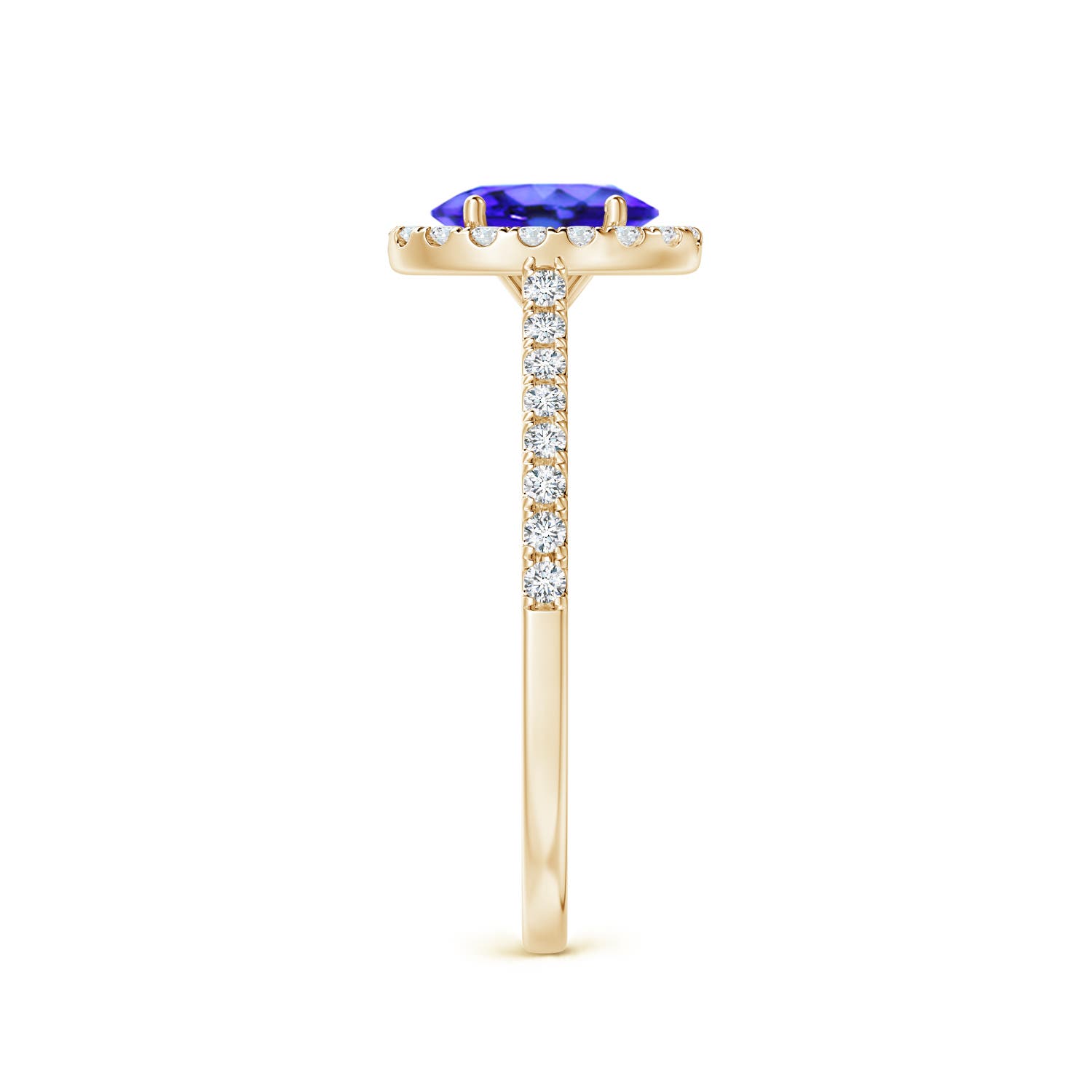 AAA - Tanzanite / 1.06 CT / 14 KT Yellow Gold